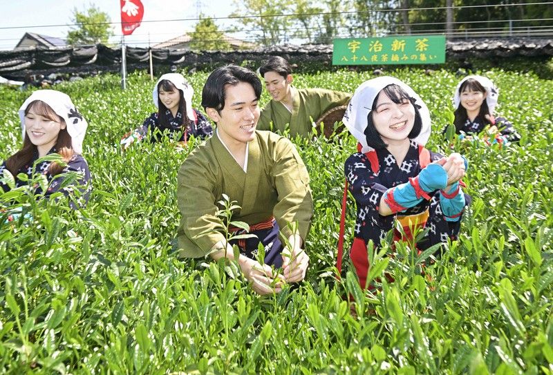 Quảng bá trà Uji Quảng bá trà Uji